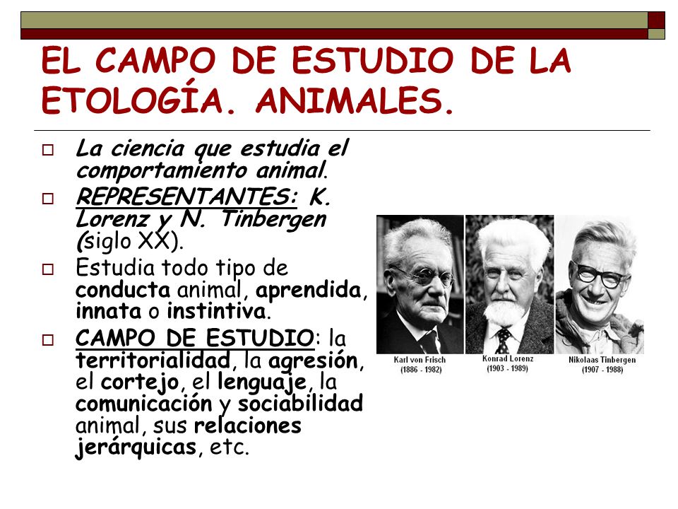 ETOLOGÍA. EL COMPORTAMIENTO ANIMAL - ppt video online descargar