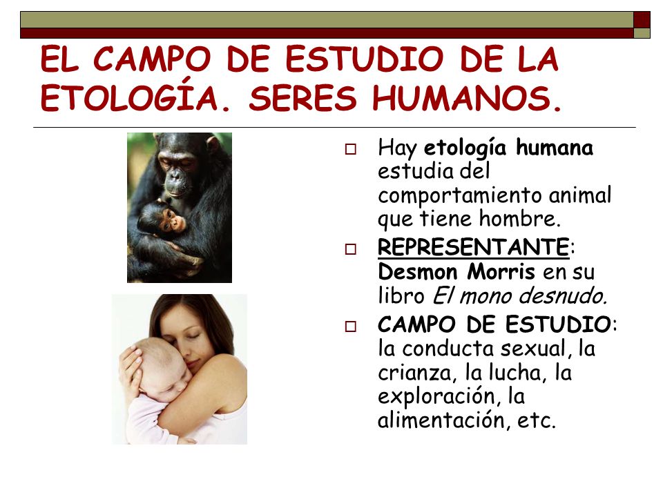 ETOLOGÍA. EL COMPORTAMIENTO ANIMAL - ppt video online descargar ETOLOGÍA. EL COMPORTAMIENTO ANIMAL - ppt video online descargar