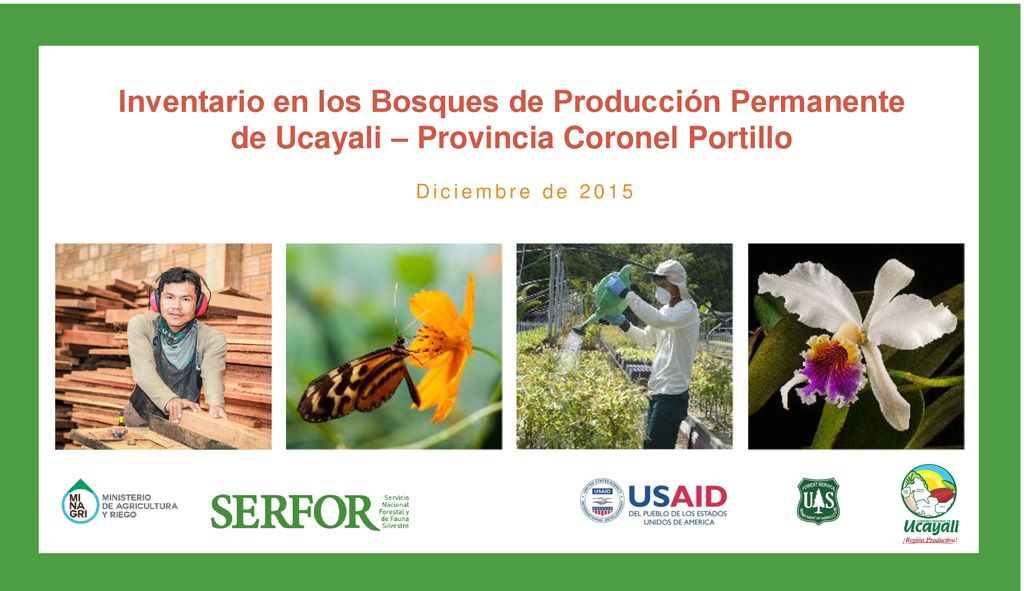 Inventario en los Bosques de Producción Permanente de Ucayali – Provincia Coronel Portillo