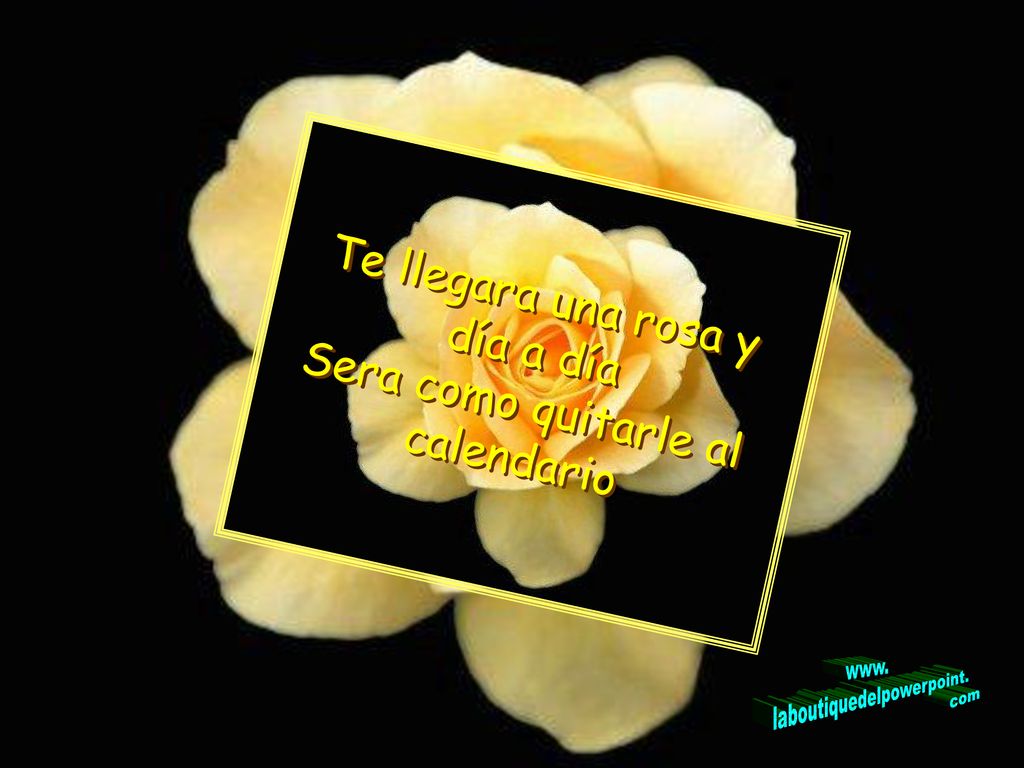 Te llegara una rosa y día a día Sera como quitarle al calendario