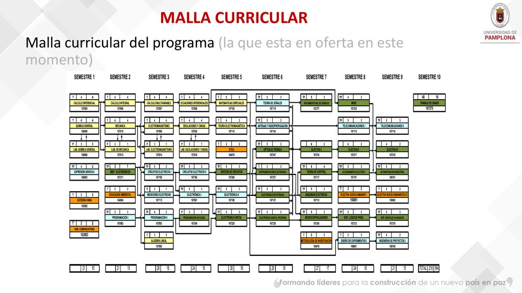 Malla curricular del programa (la que esta en oferta en este momento)