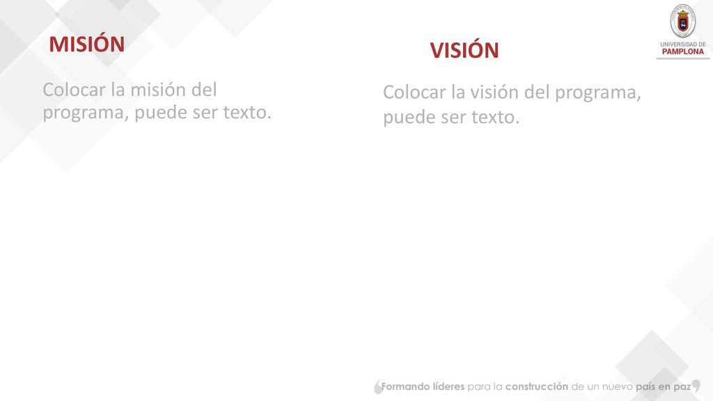 MISIÓN VISIÓN Colocar la misión del programa, puede ser texto.