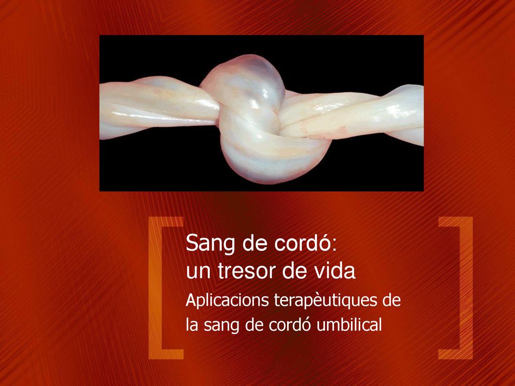 Sang de cordó: un tresor de vida