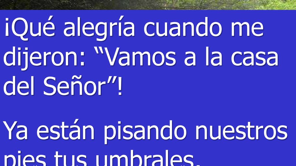 ¡Qué alegría cuando me dijeron: Vamos a la casa del Señor !