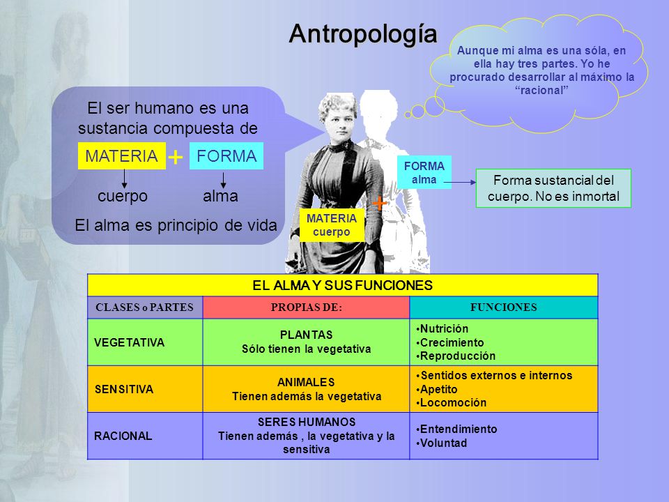 + + Antropología El ser humano es una sustancia compuesta de MATERIA