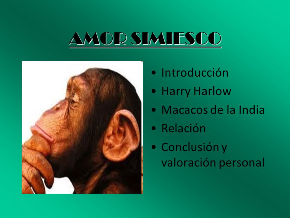 AMOR SIMIESCO Introducción Harry Harlow Macacos de la India Relación