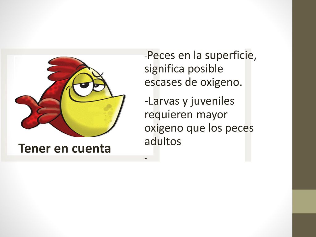 Tener en cuenta -Peces en la superficie, significa posible escases de oxigeno. -Larvas y juveniles requieren mayor oxigeno que los peces adultos.