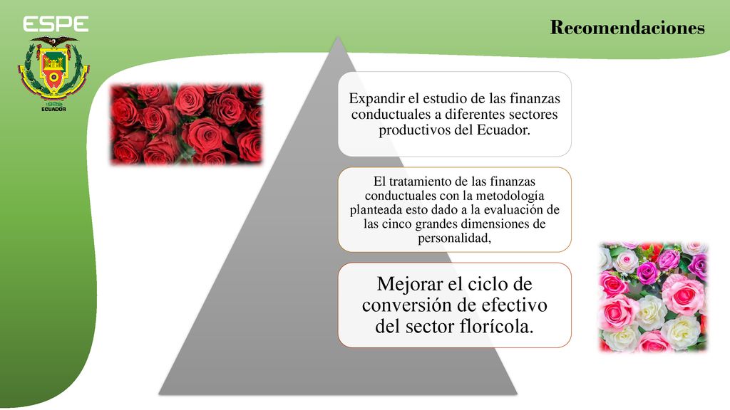 Mejorar el ciclo de conversión de efectivo del sector florícola.