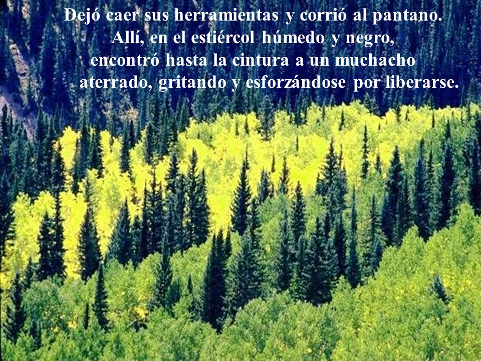 Dejó caer sus herramientas y corrió al pantano.
