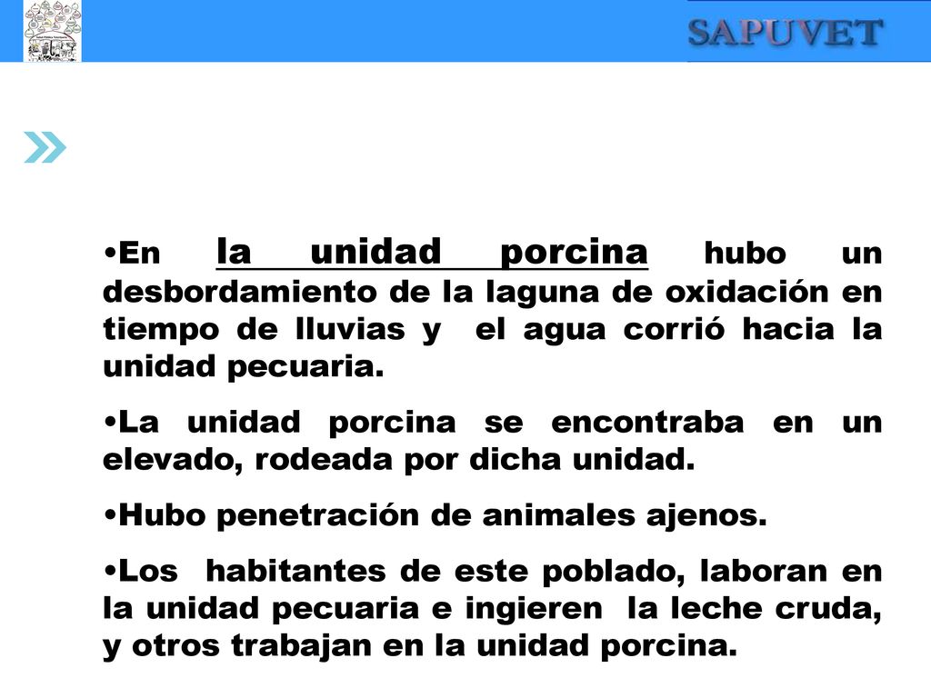 En la unidad porcina hubo un desbordamiento de la laguna de oxidación en tiempo de lluvias y el agua corrió hacia la unidad pecuaria.