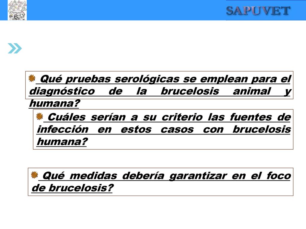Qué pruebas serológicas se emplean para el diagnóstico de la brucelosis animal y humana