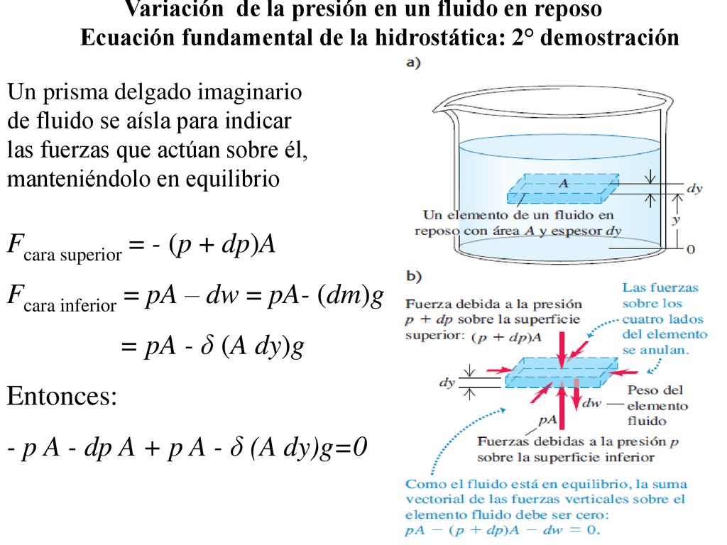 Fcara superior = - (p + dp)A Fcara inferior = pA – dw = pA- (dm)g
