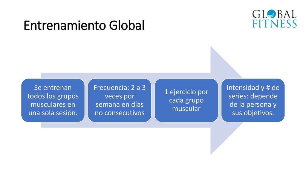 Entrenamiento Global Se entrenan todos los grupos musculares en una sola sesión. Frecuencia: 2 a 3 veces por semana en días no consecutivos.