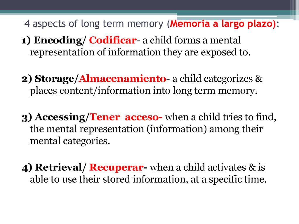 4 aspects of long term memory (Memoria a largo plazo):