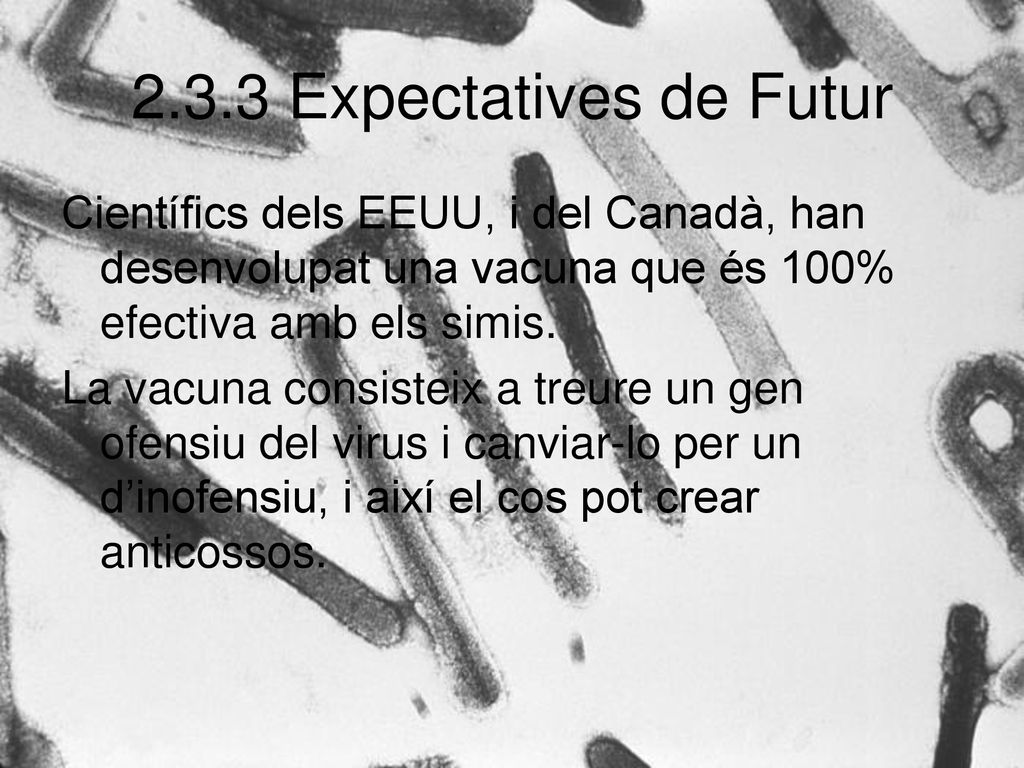 2.3.3 Expectatives de Futur Científics dels EEUU, i del Canadà, han desenvolupat una vacuna que és 100% efectiva amb els simis.