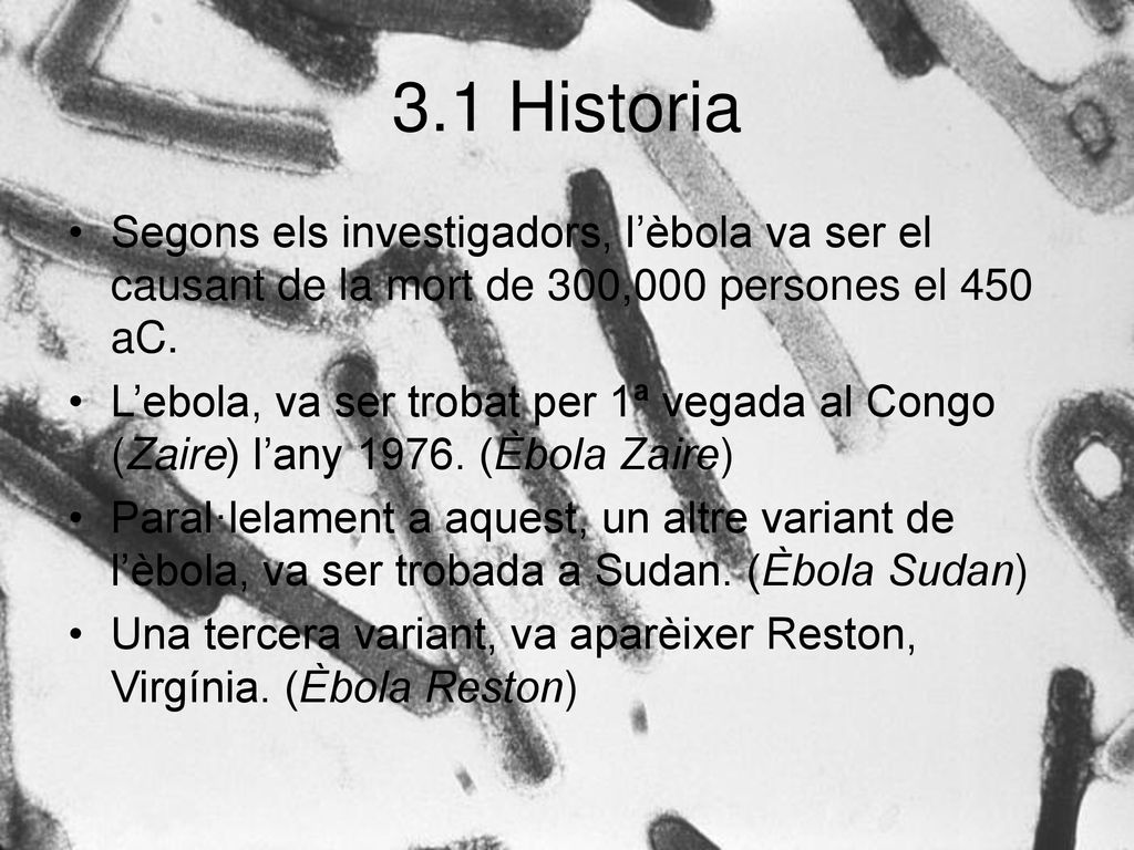 3.1 Historia Segons els investigadors, l’èbola va ser el causant de la mort de 300,000 persones el 450 aC.