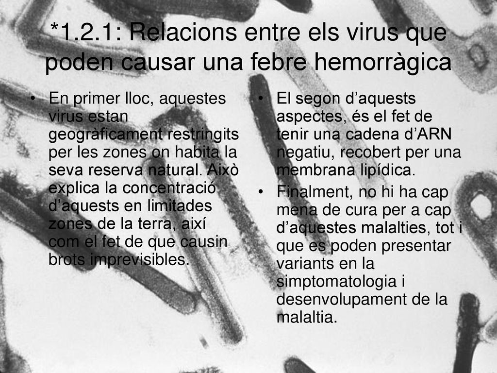 *1.2.1: Relacions entre els virus que poden causar una febre hemorràgica