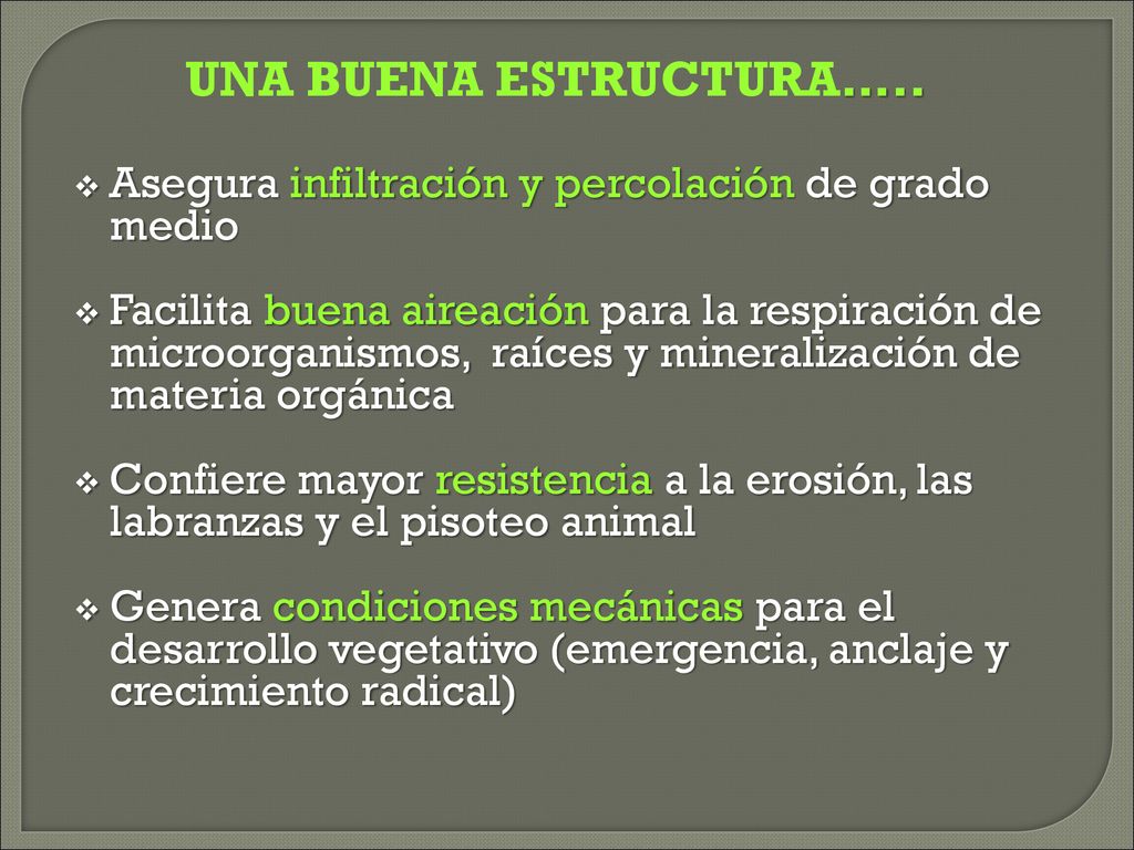 UNA BUENA ESTRUCTURA….. Asegura infiltración y percolación de grado medio.
