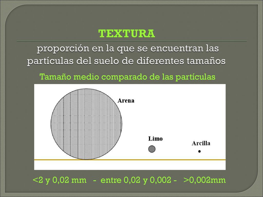 TEXTURA proporción en la que se encuentran las partículas del suelo de diferentes tamaños