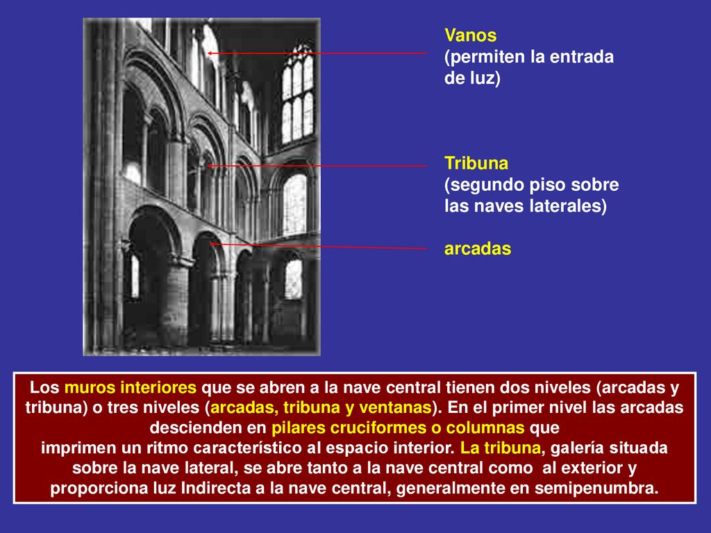 Vanos (permiten la entrada de luz) Tribuna (segundo piso sobre