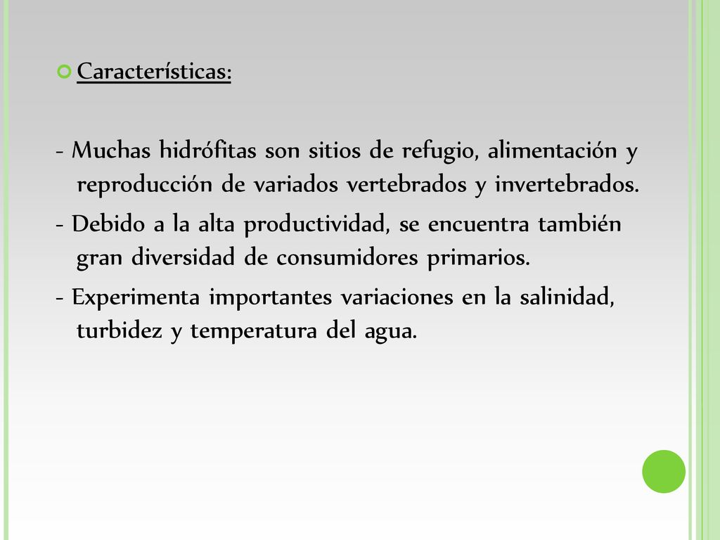 Características: - Muchas hidrófitas son sitios de refugio, alimentación y reproducción de variados vertebrados y invertebrados.