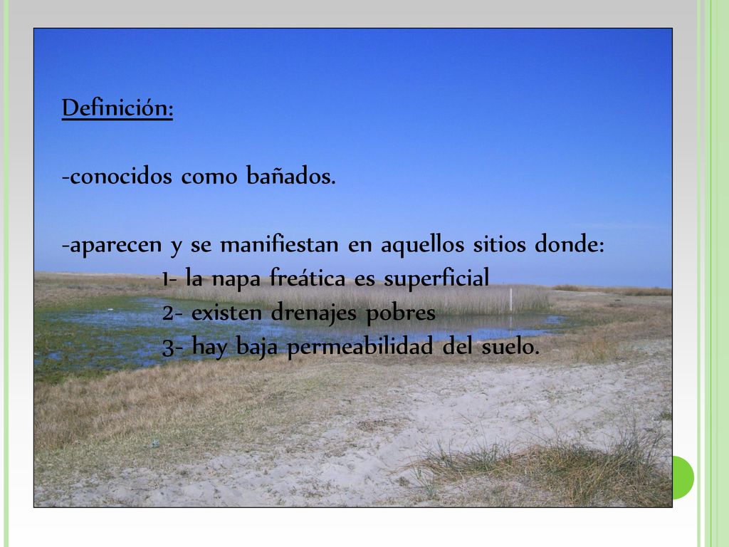 Definición: conocidos como bañados. aparecen y se manifiestan en aquellos sitios donde: 1- la napa freática es superficial.