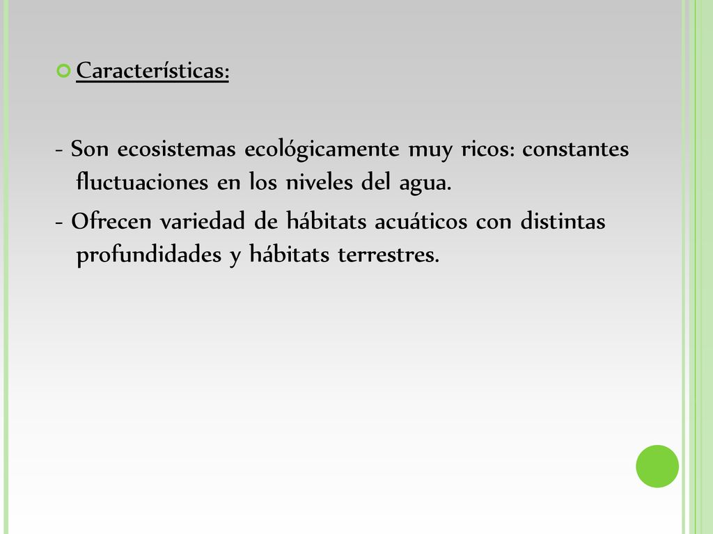 Características: - Son ecosistemas ecológicamente muy ricos: constantes fluctuaciones en los niveles del agua.
