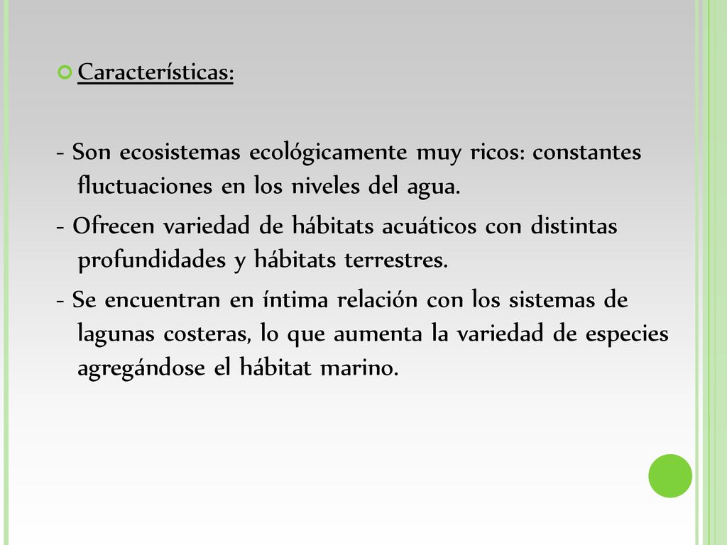 Características: - Son ecosistemas ecológicamente muy ricos: constantes fluctuaciones en los niveles del agua.