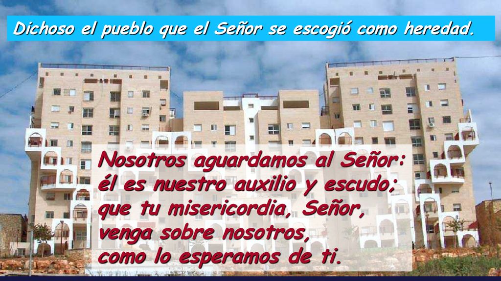 Nosotros aguardamos al Señor: él es nuestro auxilio y escudo;