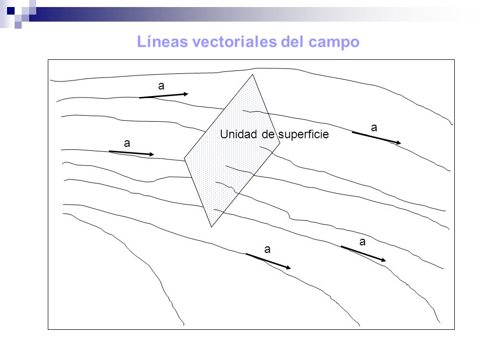 Líneas vectoriales del campo