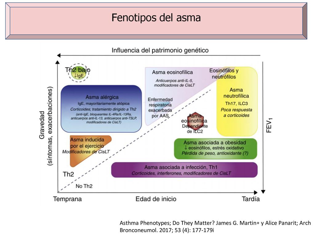 Fenotipos del asma Asthma Phenotypes; Do They Matter.