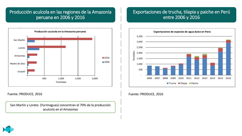 Exportaciones de trucha, tilapia y paiche en Perú entre 2006 y 2016