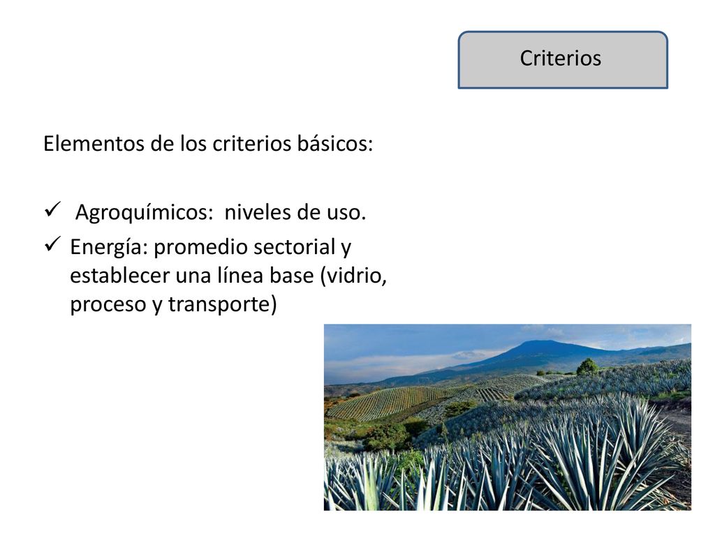 Criterios Elementos de los criterios básicos: Agroquímicos: niveles de uso.
