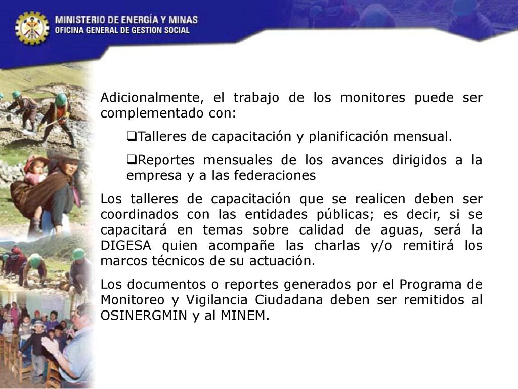 Adicionalmente, el trabajo de los monitores puede ser complementado con: