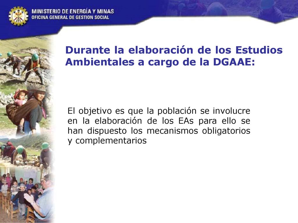 Durante la elaboración de los Estudios Ambientales a cargo de la DGAAE: