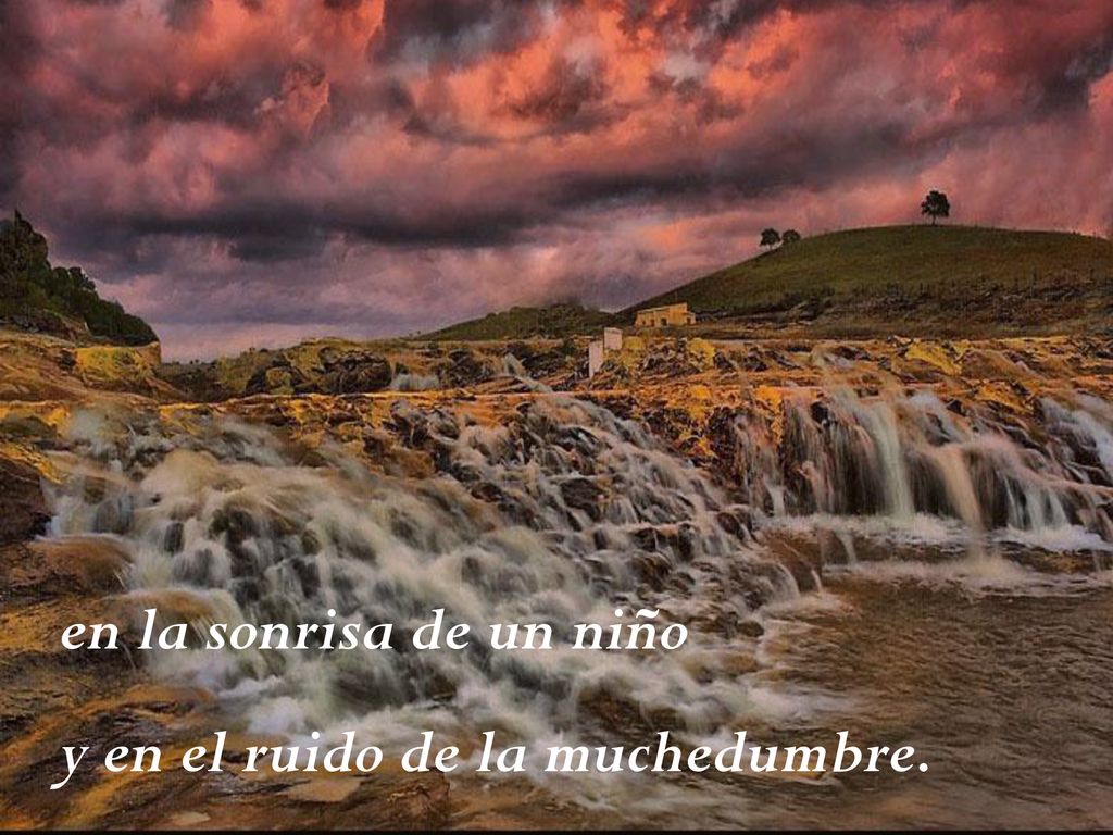 en la sonrisa de un niño y en el ruido de la muchedumbre.