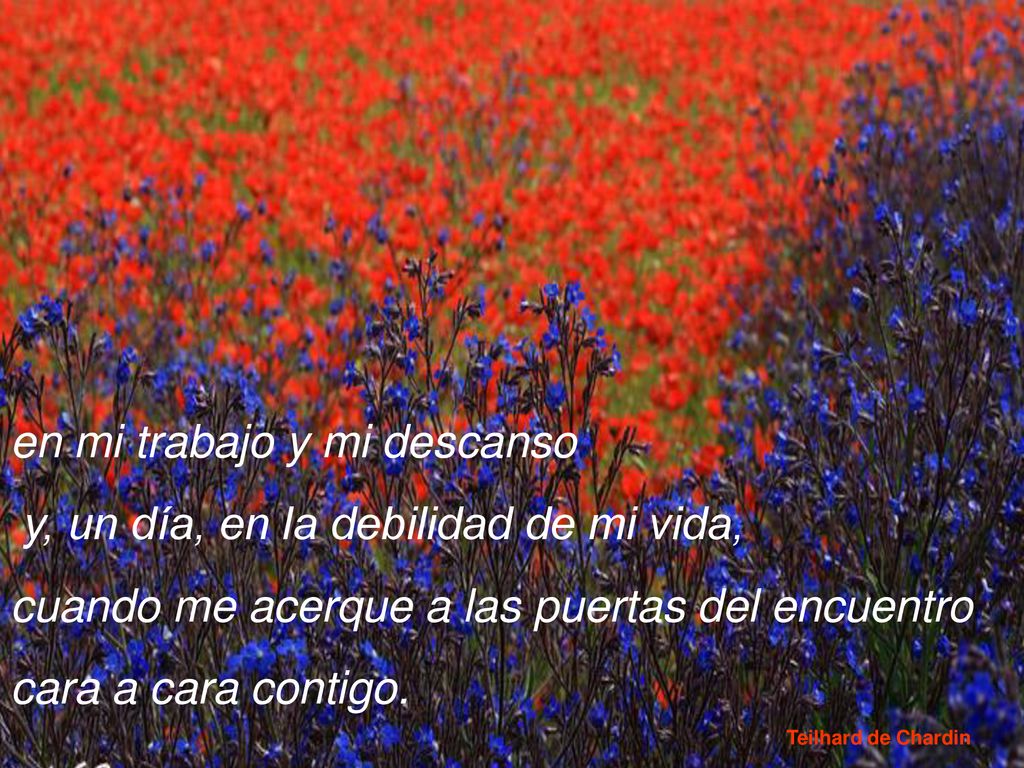 en mi trabajo y mi descanso y, un día, en la debilidad de mi vida,