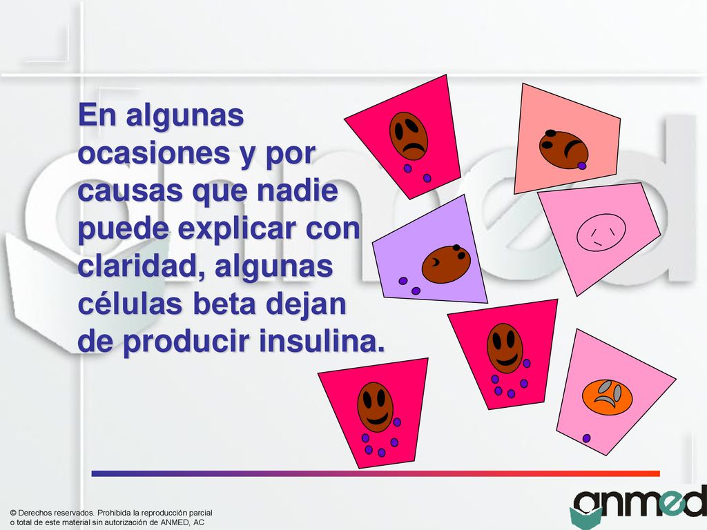 En algunas ocasiones y por. causas que nadie. puede explicar con. claridad, algunas. células beta dejan.