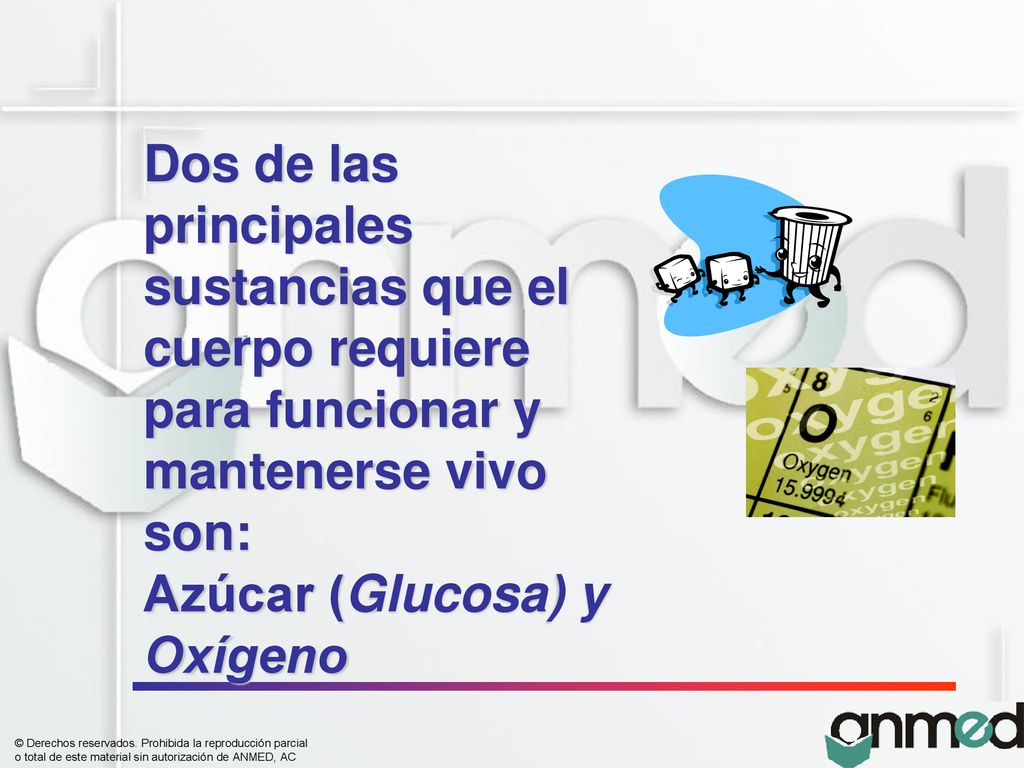 Dos de las principales sustancias que el cuerpo requiere para funcionar y mantenerse vivo son: