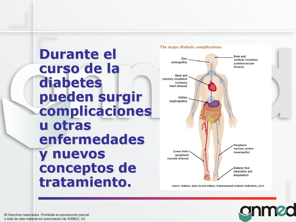 Durante el curso de la diabetes pueden surgir complicaciones u otras enfermedades y nuevos conceptos de tratamiento.