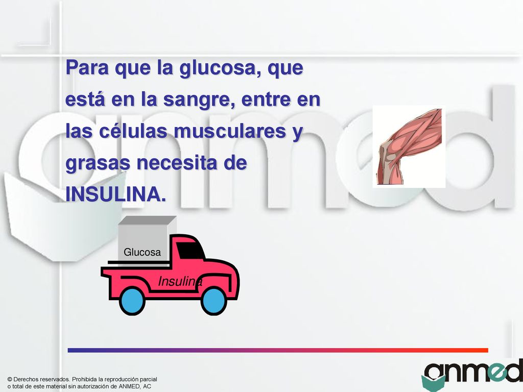 Para que la glucosa, que está en la sangre, entre en las células musculares y grasas necesita de INSULINA.