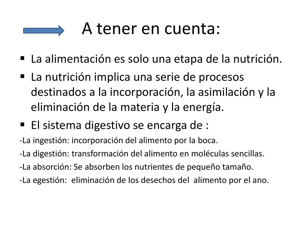 A tener en cuenta: La alimentación es solo una etapa de la nutrición.