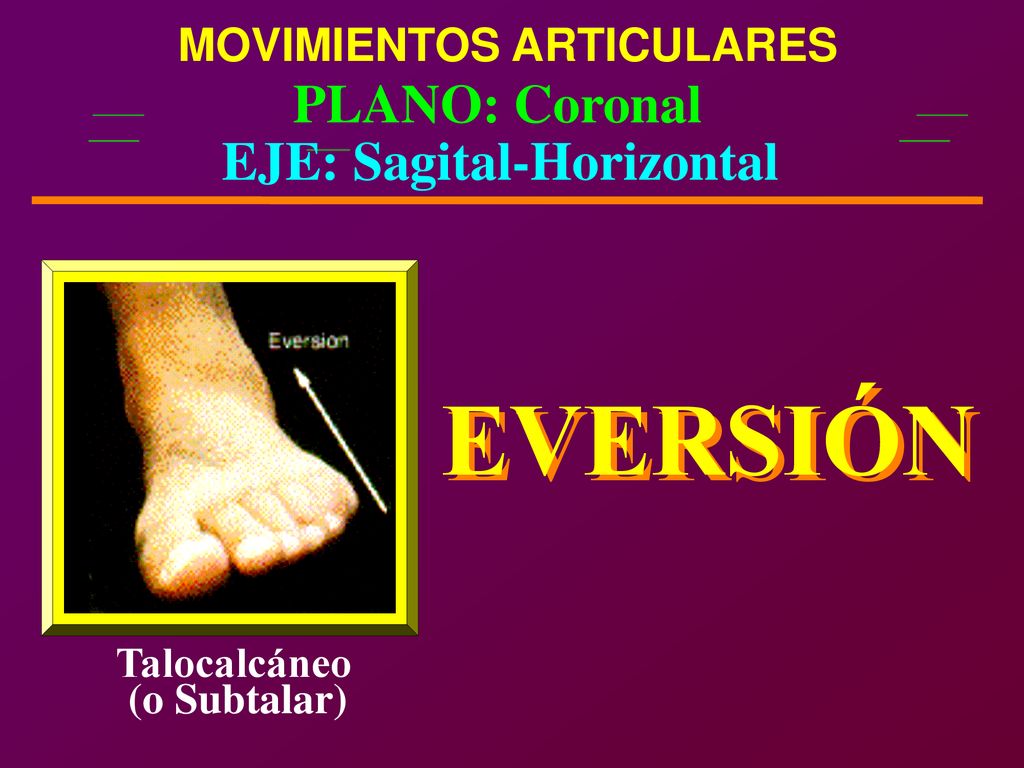 EVERSIÓN EVERSIÓN PLANO: Coronal EJE: Sagital-Horizontal