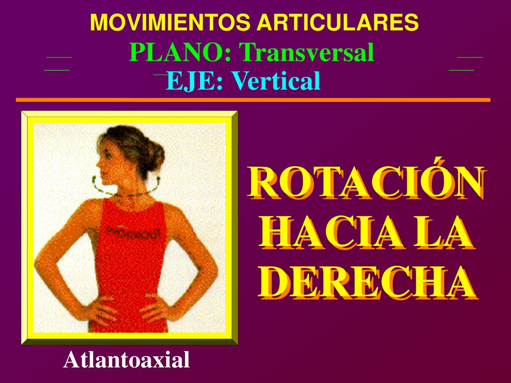 ROTACIÓN ROTACIÓN HACIA LA HACIA LA DERECHA DERECHA PLANO: Transversal