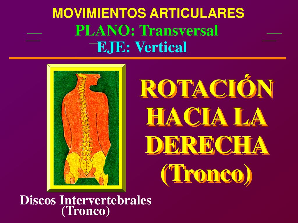 ROTACIÓN ROTACIÓN HACIA LA HACIA LA DERECHA DERECHA (Tronco) (Tronco)