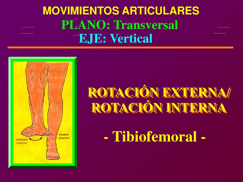 - Tibiofemoral - ROTACIÓN EXTERNA/ ROTACIÓN EXTERNA/ ROTACIÓN INTERNA