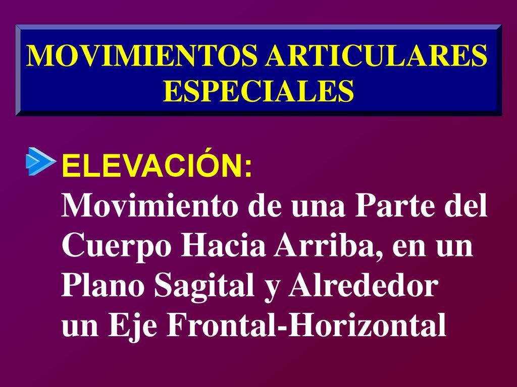 Movimiento de una Parte del Cuerpo Hacia Arriba, en un