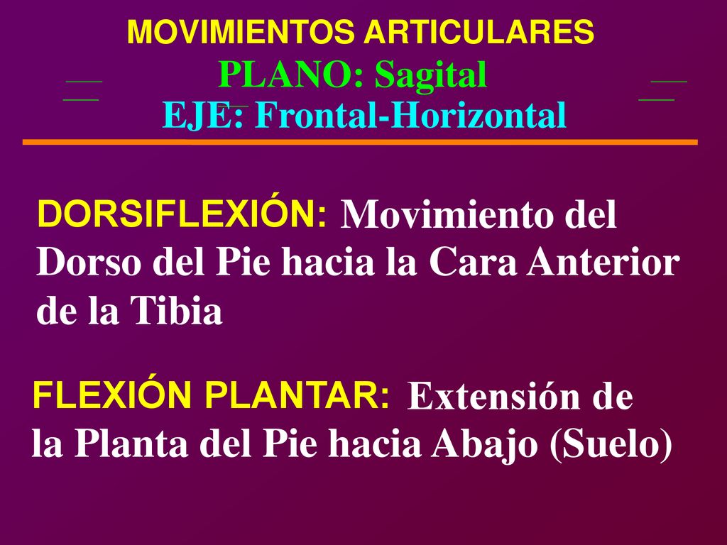 Dorso del Pie hacia la Cara Anterior de la Tibia