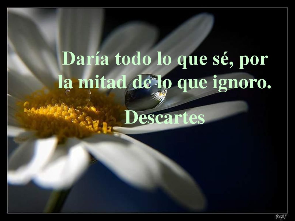 Daría todo lo que sé, por la mitad de lo que ignoro.