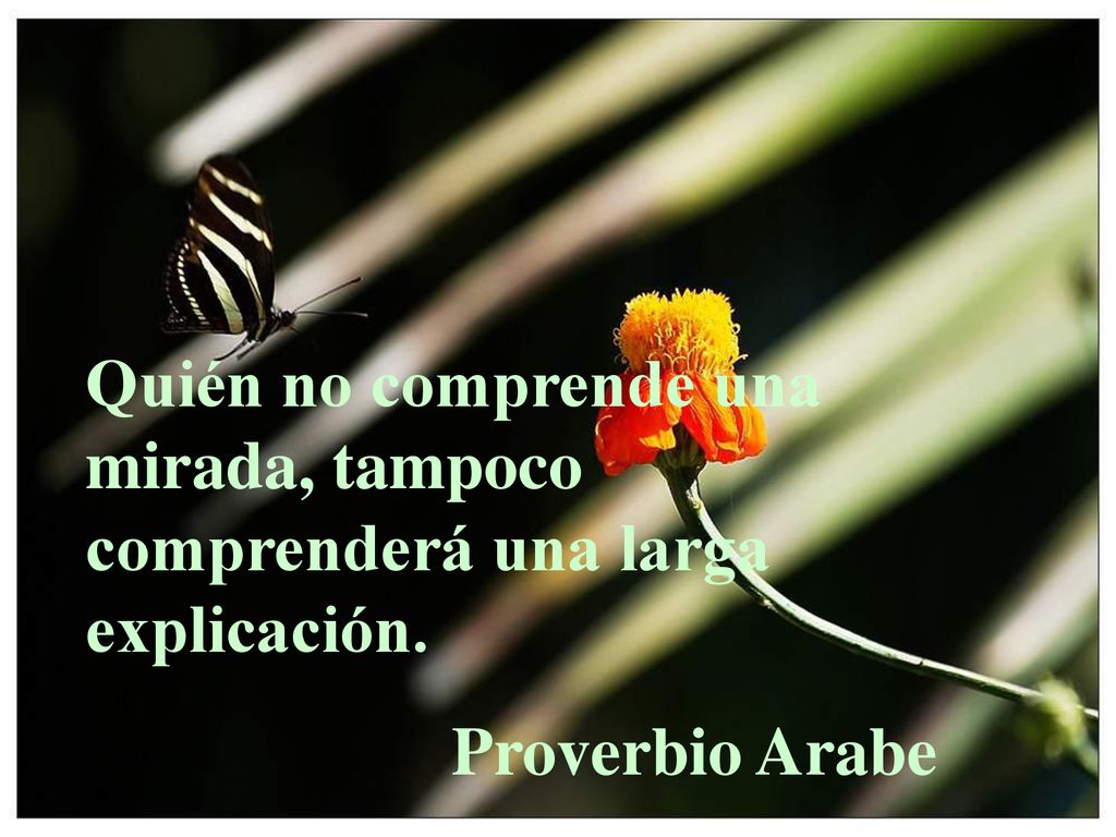 Quién no comprende una mirada, tampoco comprenderá una larga explicación.